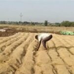 అకాల వర్షానికి తడిసి ముద్దయిన ధాన్యం