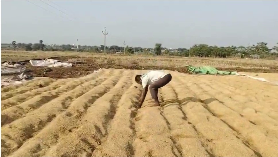 అకాల వర్షానికి తడిసి ముద్దయిన ధాన్యం